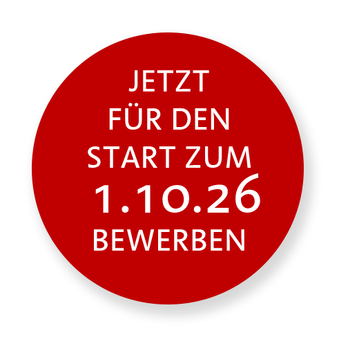 BFS - Berufsfachschulen für